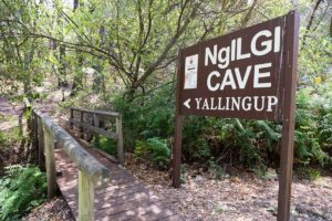 Ngilgi Caves Walk Trail