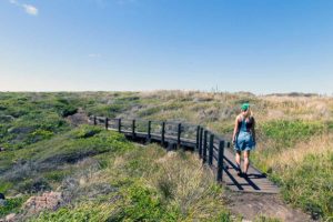 Walk Trail to Quinninup Falls