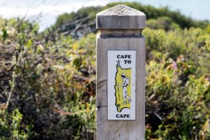 Yellow Markers on the Cape to Cape Trail