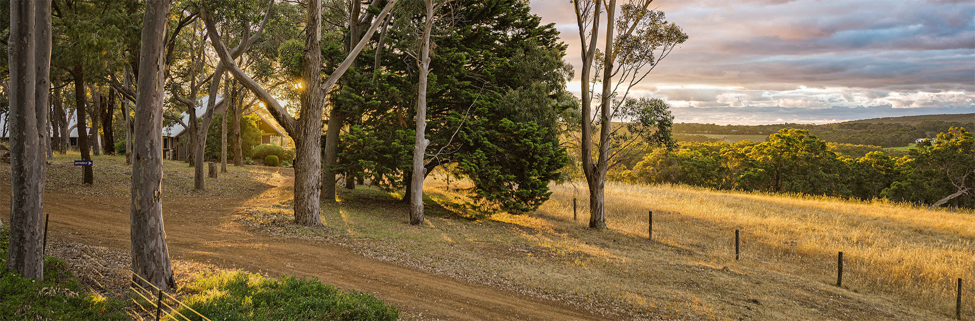 banner-wildwood2